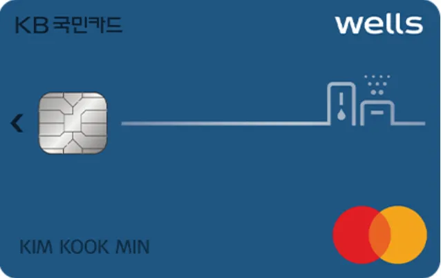 웰스 KB국민카드 (렌탈)